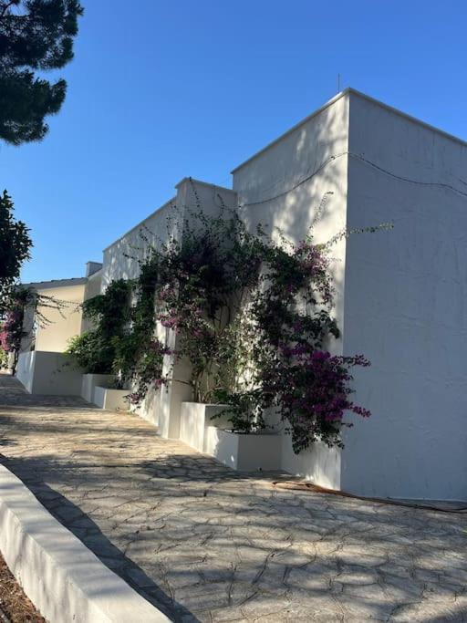 Villa Bouganville 2 Ostuni Luaran gambar