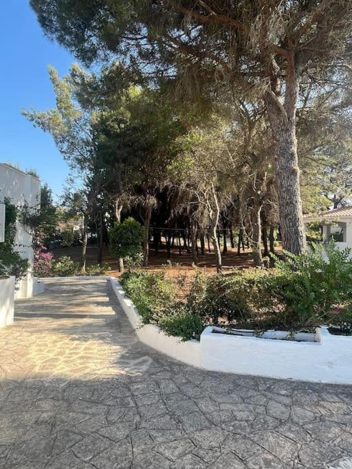 Villa Bouganville 2 Ostuni Luaran gambar